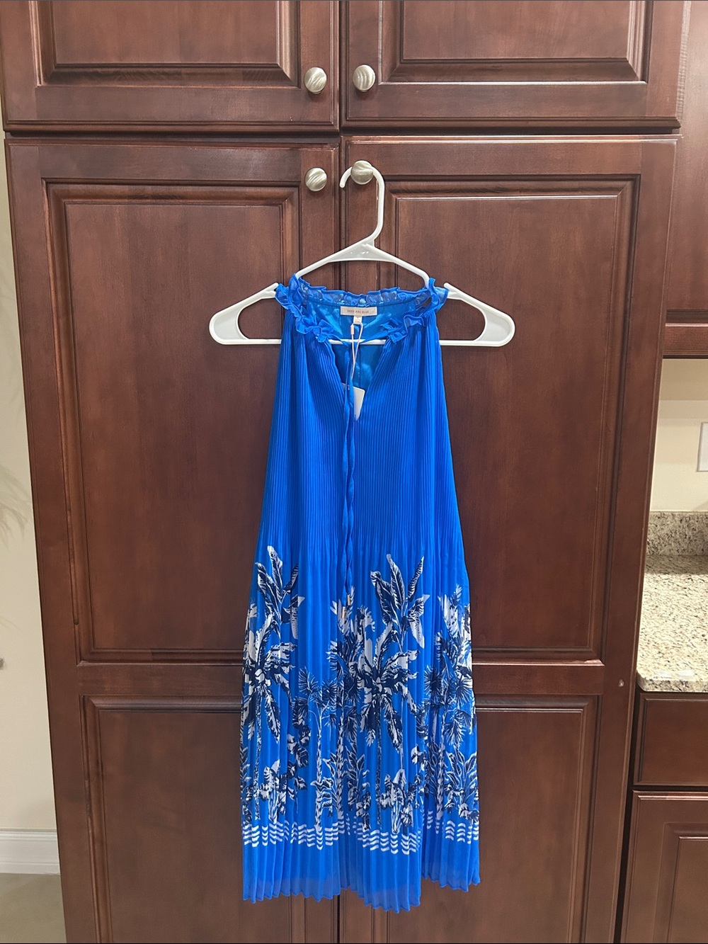Skies Are Blue Royal Blue Pleated Dress with Botanical Print